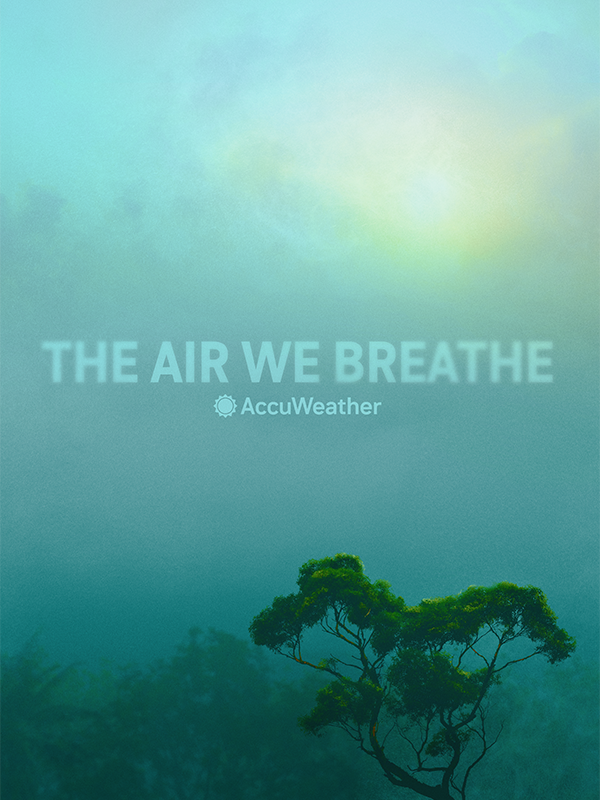 The Air We Breath